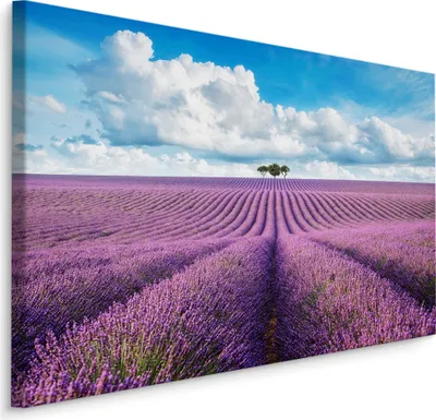 Produktbild von Fabelhafte Canvas LEINWAND BILDER 120x80 cm XXL Kunstdruck Natur Blumen Lavendel Feld