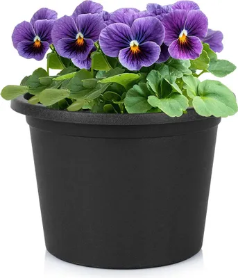 Image de Pot de jardin en plastique noir rond 20 cm