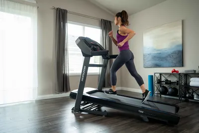 Immagine prodotto di Tapis roulant Horizon Fitness T202