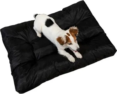 Immagine prodotto di Letto per cani 90x65x10 cm BANANAIR nero