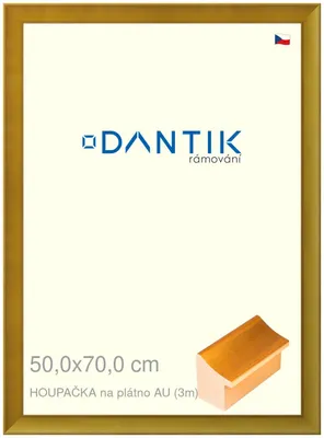 Obrázek produktu pro DANTIK rámeček 50x70 | HOUPAČKA na plátno AU (Plexi Čiré)