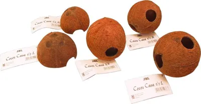 Immagine prodotto di Guscio di cocco naturale per acquari e terrari