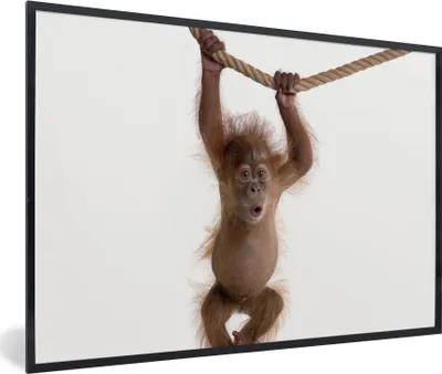 Produktbild von MuchoWow® Gerahmtes Poster Affe - Tiere - Kinder - Orang Utan - Jungen - Mädchen 90x60 cm - Poster mit Schwarzem Bilderrahmen Wandposter Rahmen Foto Bilder - Fotorahmen - Foto-Plakat