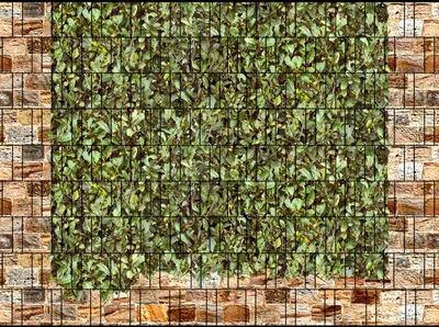 Produktbild von Bedruckter Sichtschutz ROMA & KIRSCHLORBEER Zaun Sichtschutzstreifen 2,5m x 1,8m