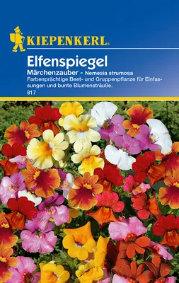 Produktbild von Kiepenkerl Elfenspiegelsamen Märchenzauber