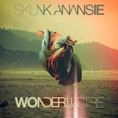 Produktbild von Wonderlustre