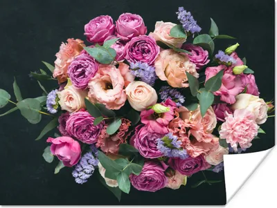 Produktbild von MuchoWow® Poster Blumen - Pastell - Rosa 160x120 cm - Foto Plakat