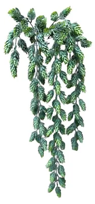 Produktbild von Roberts Collection künstliche Hängepflanze Hopfenspray 80 cm
