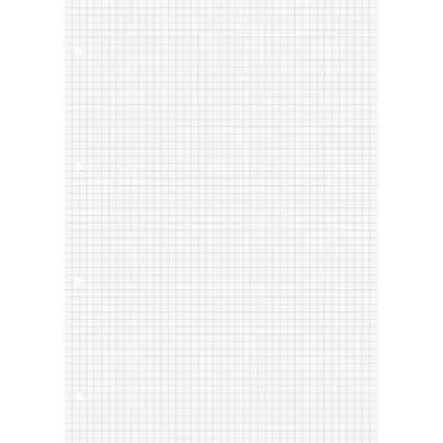 Image de Pochettes annulaires A4 quadrillées 50 feuilles