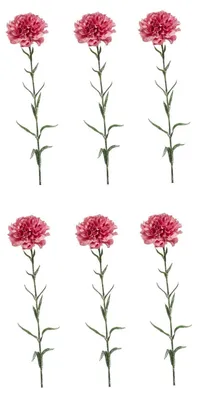 Immagine prodotto di Set di 6 garofani artificiali Dianthus spray H. 67 cm rosa antico Emerald Fiori artificiali