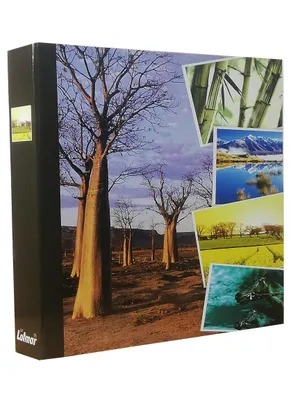 Obrázok produktu pre KPR vreckový album na 500 fotografií 10x15 cm.; viazač BAOBAB strom
