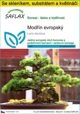 Obrázek produktu pro SAFLAX Kultivační sada - modřín evropský - Larix decidua - 75 Semena - S mini skleníkem, pěstebním substrátem a 2 květináči
