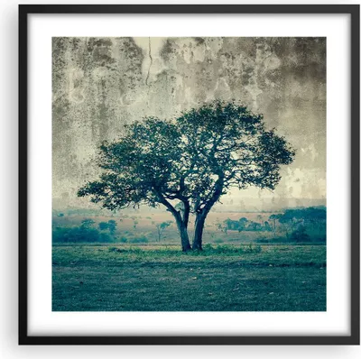 Produktbild von Gerahmtes Poster - Schwarzer Rahmen - Baum Natur Feld - 50x50 cm - Wand Bild - Wanddeko - Wandbilder - Kunstposter - Wandposter - Bilderrahmen - Bilder - Kunstdruck - Wandbild - P2BAC50x50-3627
