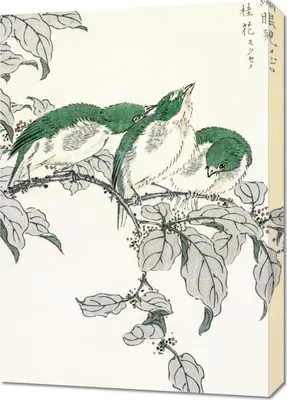 Obrázok produktu pre 50 x 70 cm Bielooký, Kashu Japonský vintage obraz do obývacej izby