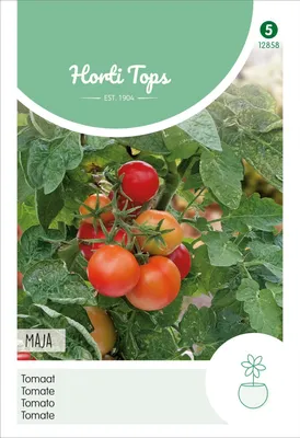 Productafbeelding van Tomate Maja | Tomatenzaden van Hortitops