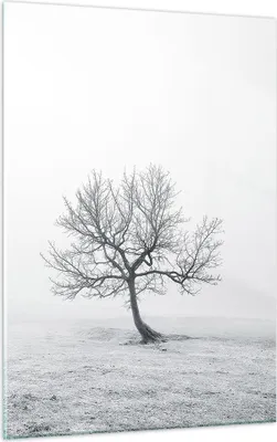 Produktbild von Bilder auf glas - Einteilig - Baum Feld Natur - 50x70cm - Glasbilder - Wandbilder - Bilder - zum Aufhängen bereit - Wanddekoration aus Glas - Glas Bilder - Wandbild auf Glas - GPA50x70-3683