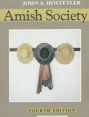 Produktbild von Amish Society