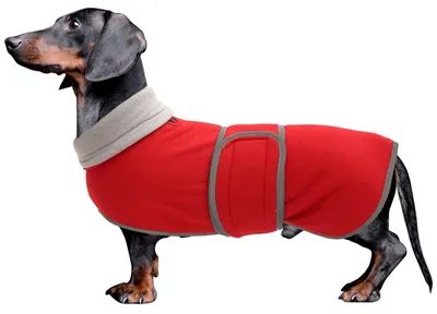 Imagen del producto de Chaqueta para perros resistente al viento - Roja - Adecuada para razas pequeñas