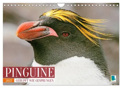Produktbild von Pinguine: Gehupft wie gesprungen (Wandkalender 2027 DIN A4 quer), CALVENDO Monatskalender