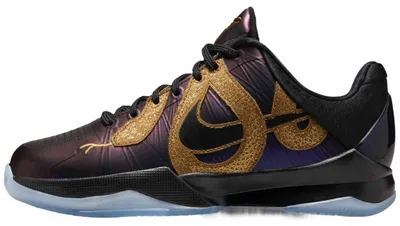 Productafbeelding van Basketbalschoenen Nike HM3753-500 voor Dames