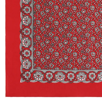 Produktbild von ModAS Viereck-Halstuch Paisley, Farbe:rot