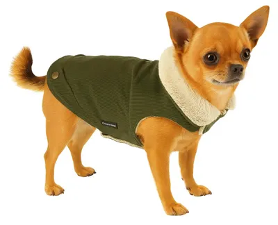 Productafbeelding van Flamingo hondenkleding, model Endor, kleur khaki, ruglengte: 20 cm