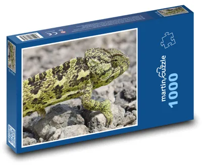 Obrázok produktu pre Puzzle 1000 Farebný Zelený Chameleón - martinpuzzle