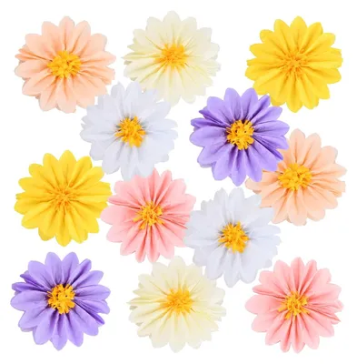 Productafbeelding van Set van 12 Papieren Bloemen Pompoms voor Feestdecoratie
