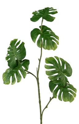 Produktbild von Kunstpflanze SPLITPHILOZWEIG, 80cm Philodendron mit 6 Blättern