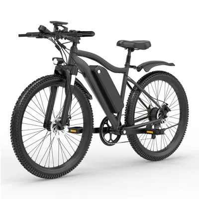 Image de VTT électrique pour adultes, modèle G73, 250W, 48V 13Ah, autonomie jusqu'à 40 km, pneus larges tout-terrain de 26 pouces, indice de protection IP54, charge maximale : 120 kg