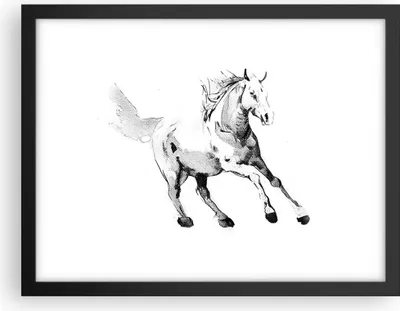 Produktbild von Gerahmtes Poster - Schwarzer Rahmen - Pferd Galopp Tier - 40x30 cm - Wand Bild - Wanddeko - Wandbilder - Kunstposter - Wandposter - Bilderrahmen - Bilder - Kunstdruck - P2BAA40x30-5117