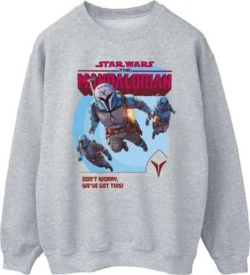 Produktbild von Star Wars - "The Mandalorian We've Got This" Sweatshirt für Herren BI46585 (S) (Grau)