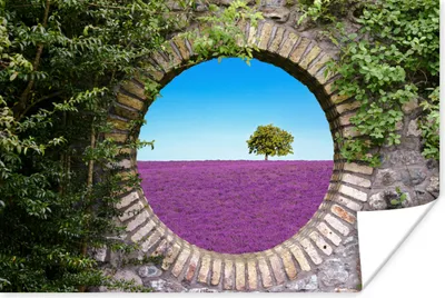 Produktbild von MuchoWow® Poster Lavendel - Ausblick - Blumen - Sommer 90x60 cm - Schlafzimmer