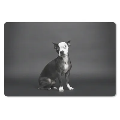 Produktbild von MuchoWow® Schreibtischunterlage Hund - Spot - Porträt 60x40 cm - XXL Mauspad