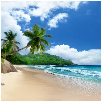 Produktbild von Wallario Premium Glasbild, freischwebende Optik, kräftige Farben, Größe 50 x 50 cm Motiv Urlaub auf den Seychellen unter Palmen am Sandstrand