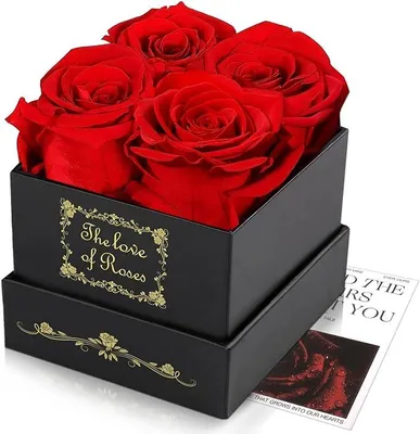 Produktbild von KBruSHop Ewige Rosenbox - 4 Rosen– Das perfekte Geschenk voller Liebe und Eleganz