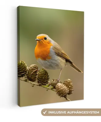 Produktbild von MuchoWow® - Leinwandbilder - Vogel - Rotkehlchen - Tannenzapfen - Zweig - Herbst, Wandbild, Wanddeko Bilder Wohnzimmer, 60x80 cm