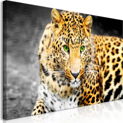 Produktbild von Wandbild Mega XXXL Leopard 250x125 cm Einteiliger XXL-Format Kunstdruck zur Selbstmontage Leinwandbilder moderne Bilder DIY Wanddekoration Wohnung Deko Tiere g-A-0086-ak-g
