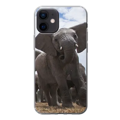 Produktbild von MuchoWow® Handyhülle Schutzhülle Hülle für iPhone 12 Elefant - Tiere - Natur - Flachland Silikon Softcase Handy Hülle - Schutzhülle