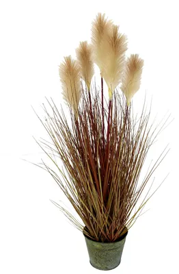 Produktbild von Pampasgras im Topf Federgras Ufergras Seidenblumen Grasbusch Dekogras Gras Kunst
