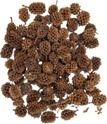 Produktbild von Mini-Deko-Zapfen, natürlich, 30 g
