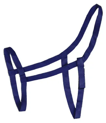 Produktbild von Waldhausen Grazing Halfter Blau Pony Blau Pony