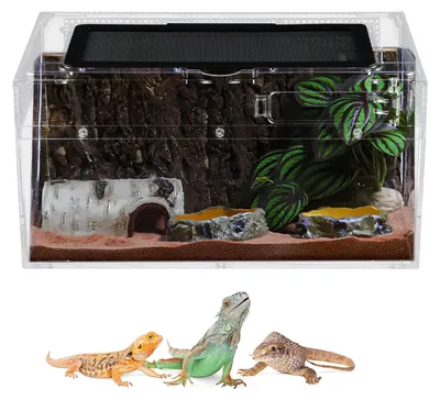 Produktbild von Mini Reptilienbecken - 30 x 18 x 15 cm, Transparentes Acryl-Vivarium