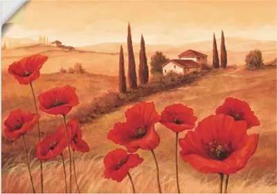Produktbild von ARTland Wandbild, selbstklebend Mohnblumen in der Toskana Größe: 100x70 cm