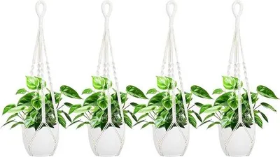 Image de Suspension pour fleurs 85 cm, corde en coton beige