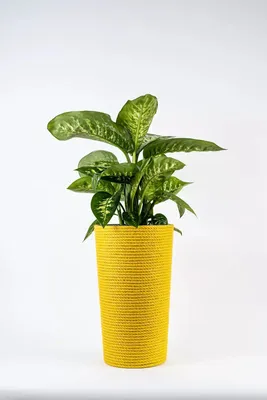 Zdjęcie produktu dla ADONI Ręcznie robiony doniczka z juty z wkładką (47 cm) – Dekoracyjny, boho-stylowy osłonka do doniczek na rośliny doniczkowe, kolor żółty