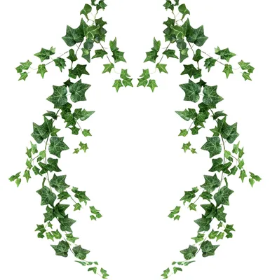 Image de Guirlandes de lierre artificiel, 1,8 m de lierre artificiel avec feuilles, plantes suspendues artificielles – Décoration pour les pièces, les murs, les balcons, les mariages, les fêtes, les jardins