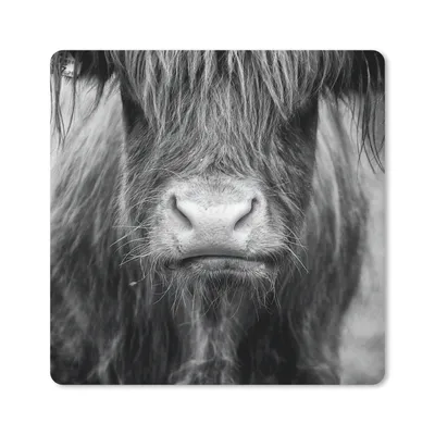 Produktbild von MuchoWow® Mauspad Mousepad Schottischer Highlander - Haare - Tiere 20x20 cm - Mousepads - Maus Mat - Pad - Mausunterlage - Desk Mat - Bureauartikeln