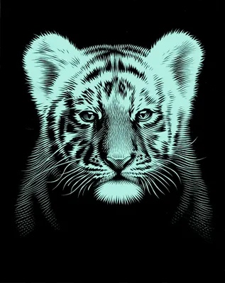 Produktbild von Mammut Kratzbild Tigerbaby 11 x 18 cm Scratch Art Malen Kratzen Tiger Motiv