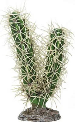 Zdjęcie produktu dla Cactus Simpson